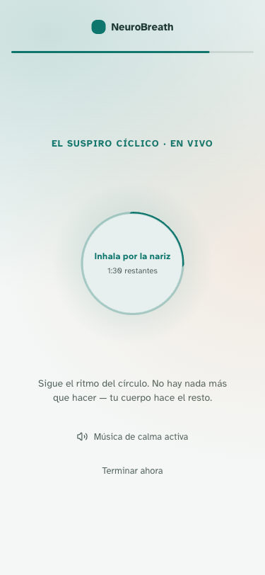 Sesión del Suspiro Cíclico con el círculo de respiración